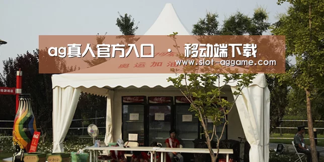案例标题五