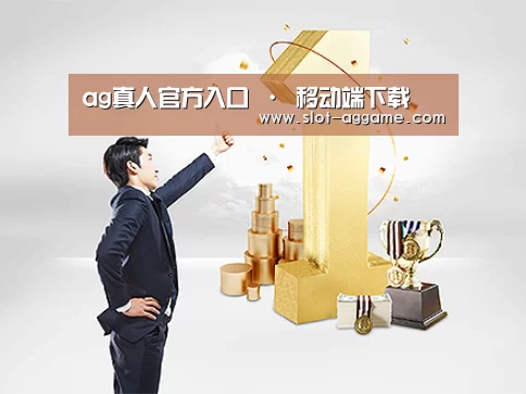 荣誉资质标题一