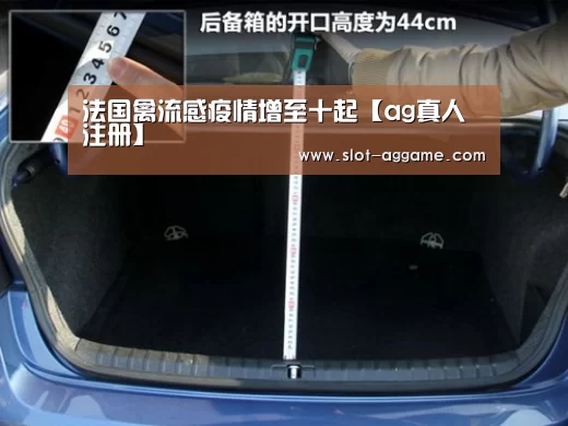 法国禽流感疫情增至十起【ag真人注册】