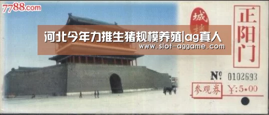 AG真人下载