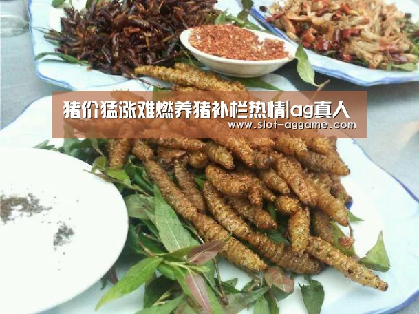 ag真人注册