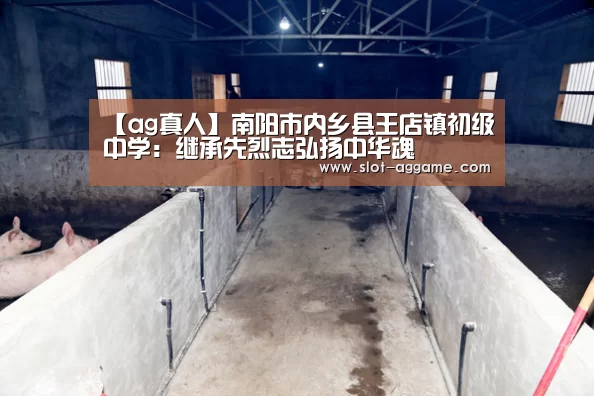 【ag真人】南阳市内乡县王店镇初级中学:继承先烈志弘扬中华魂(图3) ag真人