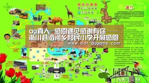 ag真人-感恩遇见感谢有你——淅川县滔河乡移民小学开展感恩主题班会活动(图4) ag真人入口
